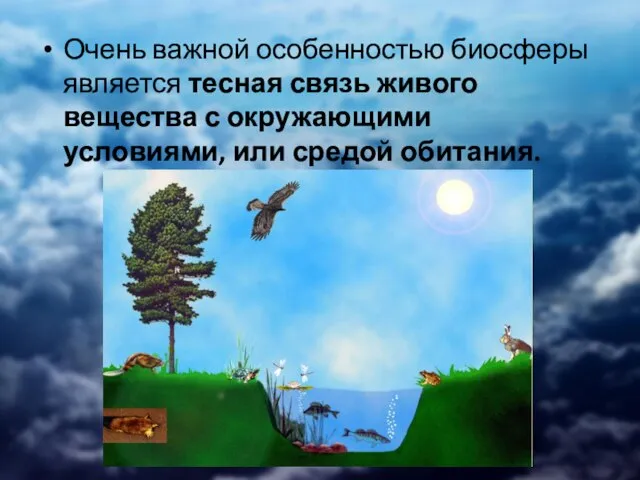 Очень важной особенностью биосферы является тесная связь живого вещества с окружающими условиями, или средой обитания.