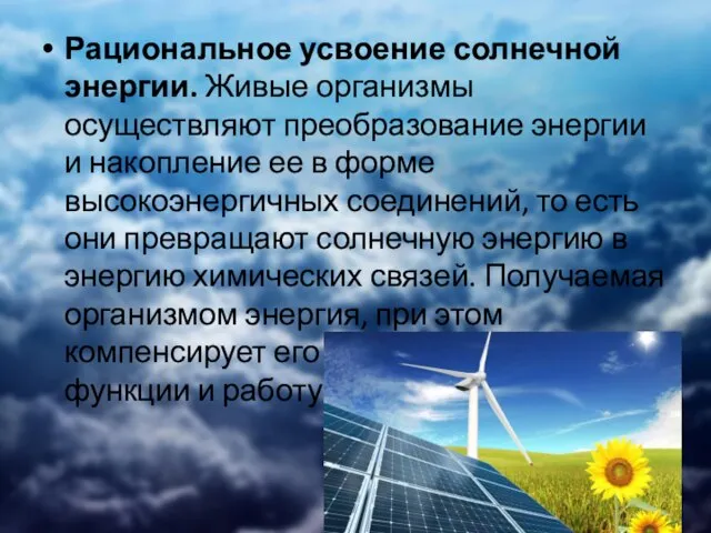 Рациональное усвоение солнечной энергии. Живые организмы осуществляют преобразование энергии и накопление ее