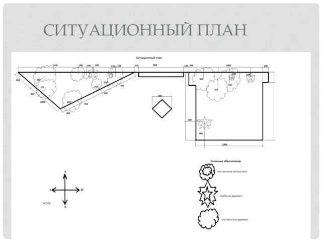 СИТУАЦИОННЫЙ ПЛАН