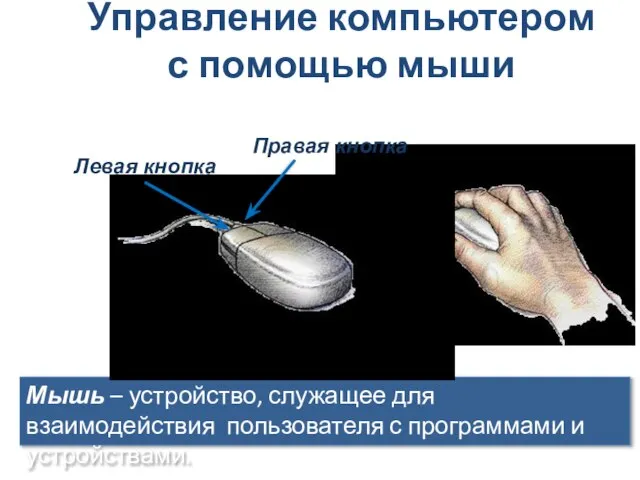 Управление компьютером с помощью мыши Мышь – устройство, служащее для взаимодействия пользователя