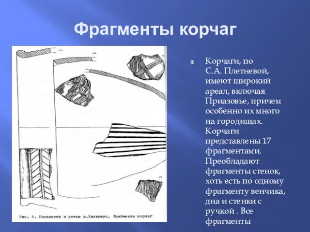Фрагменты корчаг Корчаги, по С.А. Плетневой, имеют широкий ареал, включая Приазовье, причем