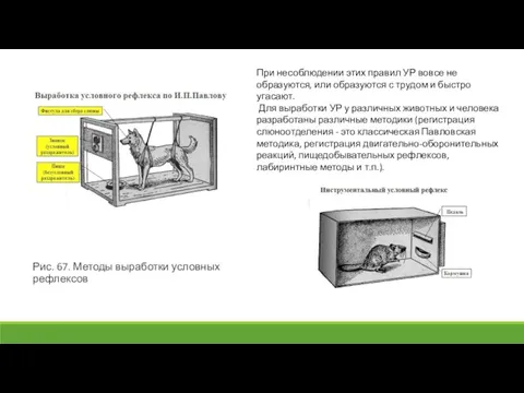 Рис. 67. Методы выработки условных рефлексов При несоблюдении этих правил УР вовсе