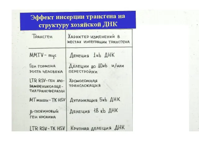 Эффект инсерции трансгена на структуру хозяйской ДНК