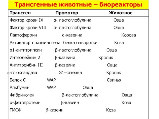 Трансгенные животные – биореакторы Трансген Промотор Животное Фактор крови IX α- лактоглобулина