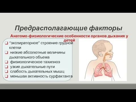 Предрасполагающие факторы Анатомо-физиологические особенности органов дыхания у детей “экспираторное” строение грудной клетки