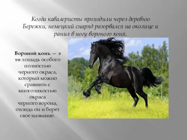 Вороной конь — это лошадь особого полностью черного окраса, который можно сравнить