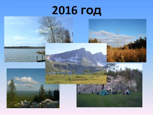 2016 год