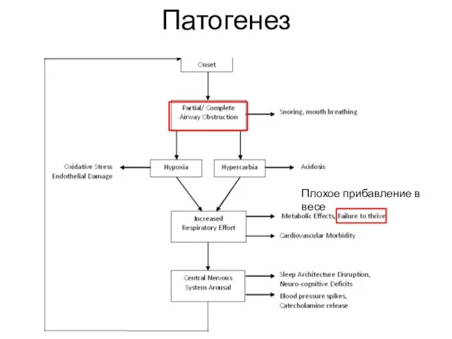 Патогенез Плохое прибавление в весе