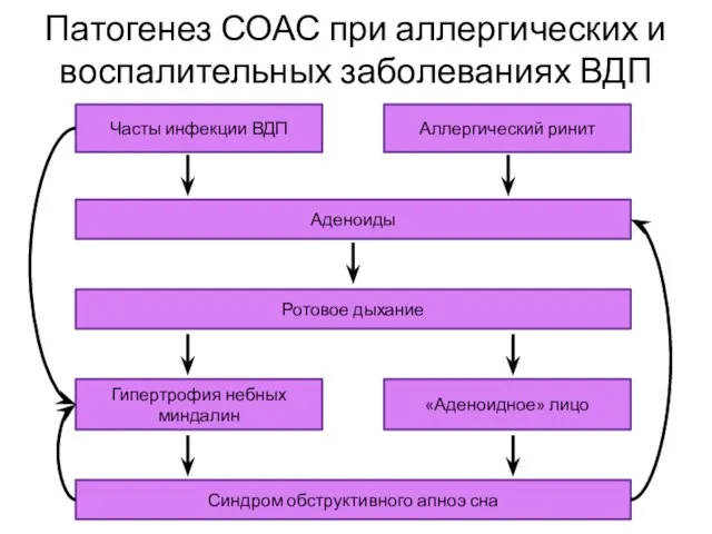 Патогенез СОАС при аллергических и воспалительных заболеваниях ВДП Аденоиды Часты инфекции ВДП