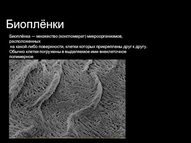 Биоплёнки Биоплёнка — множество (конгломерат) микроорганизмов, расположенных на какой-либо поверхности, клетки которых