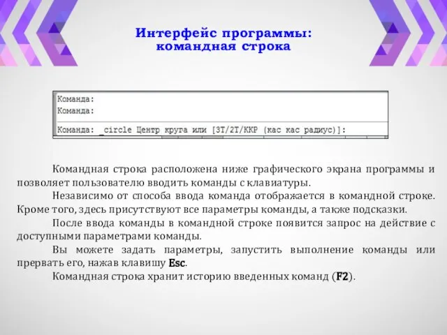 Интерфейс программы: командная строка Командная строка расположена ниже графического экрана программы и