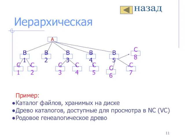 Иерархическая C8 C6 C7 C5 C4 C3 C2 C1 B5 B4 B3