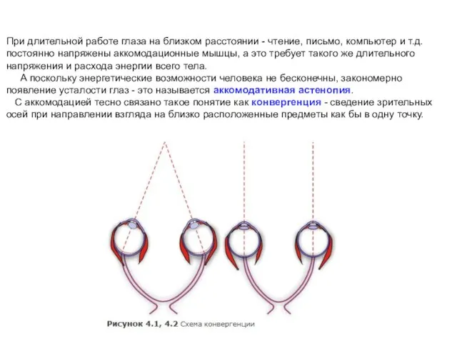 При длительной работе глаза на близком расстоянии - чтение, письмо, компьютер и