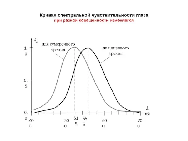 Кривая спектральной чувствительности глаза при разной освещенности изменяется