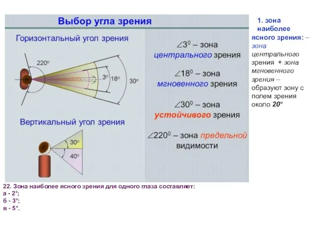 1. зона наиболее ясного зрения: – зона центрального зрения + зона мгновенного