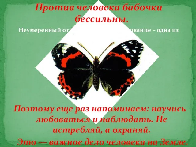 Против человека бабочки бессильны. Неумеренный отлов и коллекционирование – одна из причин