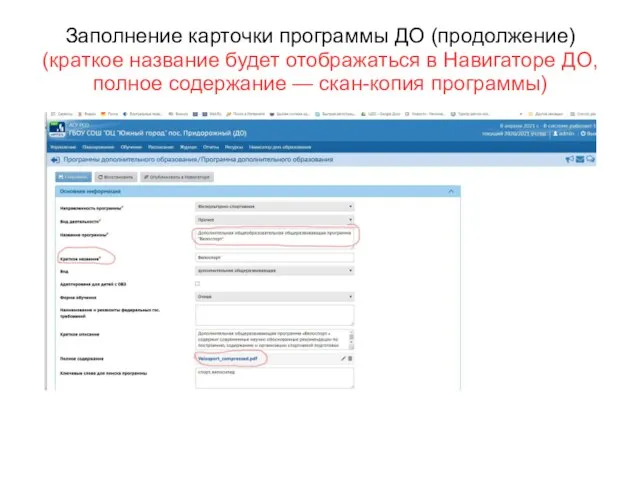 Заполнение карточки программы ДО (продолжение) (краткое название будет отображаться в Навигаторе ДО,