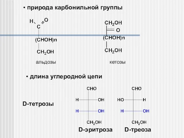 альдозы кетозы длина углеродной цепи природа карбонильной группы D-тетрозы D-эритроза D-треоза