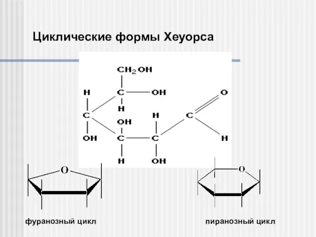 Циклические формы Хеуорса фуранозный цикл пиранозный цикл