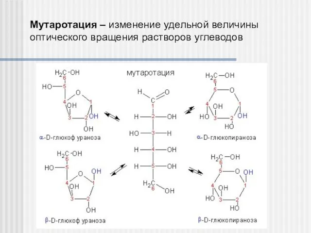 Мутаротация – изменение удельной величины оптического вращения растворов углеводов