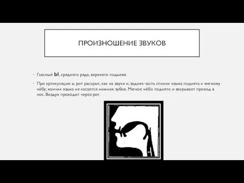 ПРОИЗНОШЕНИЕ ЗВУКОВ Гласный ы, среднего ряда, верхнего подъема При артикуляции ы рот