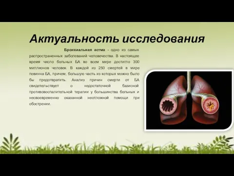 Актуальность исследования Бронхиальная астма - одно из самых распространенных заболеваний человечества. В
