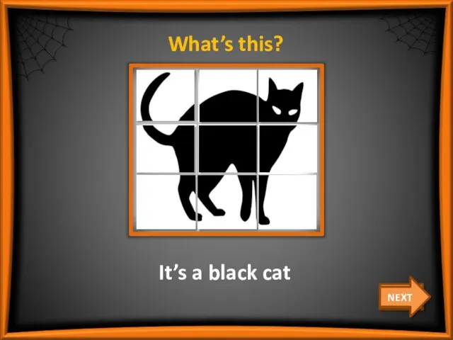 What’s this? CHECK It’s a black cat NEXT