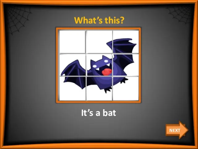 What’s this? It’s a bat CHECK NEXT