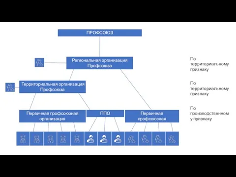 Первичная профсоюзная организация ППО Первичная профсоюзная организация Территориальная организация Профсоюза Региональная организация