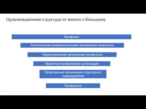 Профгруппа Профсоюзная организация структурного подразделения Территориальная организация профсоюза Первичная профсоюзная организация Региональная