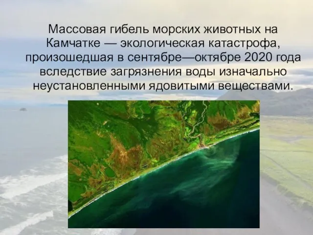 Массовая гибель морских животных на Камчатке — экологическая катастрофа, произошедшая в сентябре—октябре