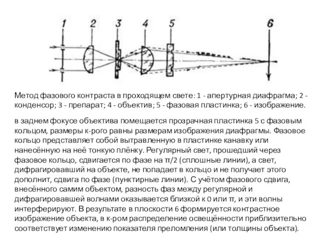 Метод фазового контраста в проходящем свете: 1 - апертурная диафрагма; 2 -