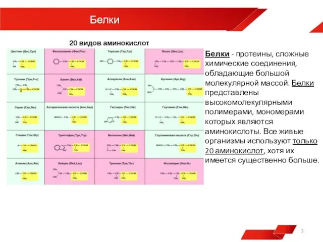 Белки Белки - протеины, сложные химические соединения, обладающие большой молекулярной массой. Белки