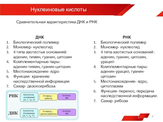 Нуклеиновые кислоты Сравнительная характеристика ДНК и РНК ДНК Биологический полимер Мономер- нуклеотид