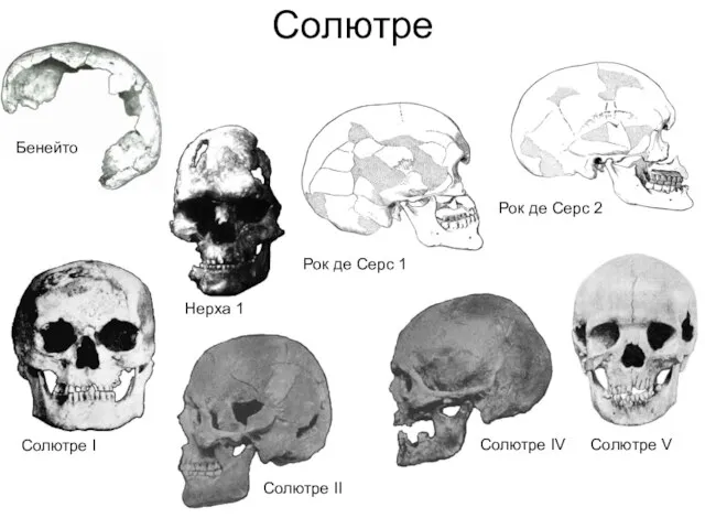 Солютре Бенейто Нерха 1 Солютре I Солютре II Солютре IV Солютре V