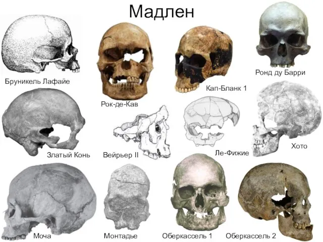 Мадлен Хото Кап-Бланк 1 Бруникель Лафайе Ле-Фижие Моча Монтадье Оберкассель 1 Оберкассель