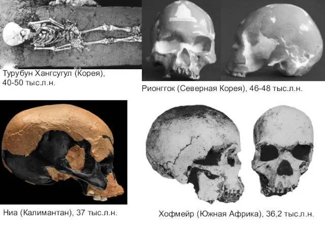 Турубун Хангсугул (Корея), 40-50 тыс.л.н. Рионггок (Северная Корея), 46-48 тыс.л.н. Ниа (Калимантан),