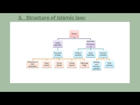 3. Structure of Islamic law:
