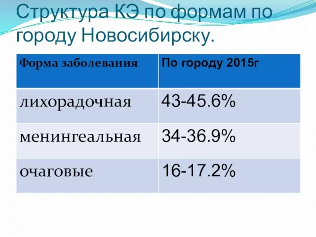 Структура КЭ по формам по городу Новосибирску.