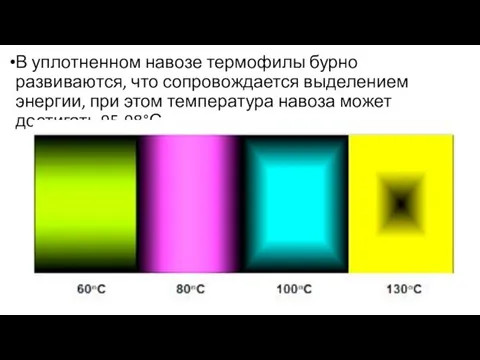 В уплотненном навозе термофилы бурно развиваются, что со­провождается выделением энергии, при этом