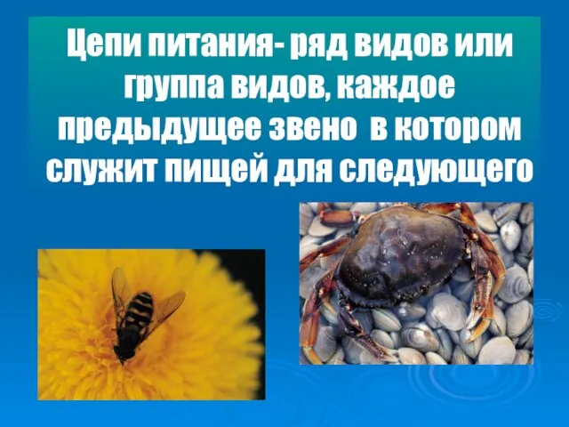 Цепи питания- ряд видов или группа видов, каждое предыдущее звено в котором служит пищей для следующего