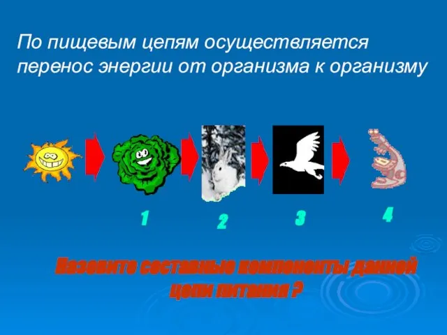 Назовите составные компоненты данной цепи питания ? По пищевым цепям осуществляется перенос