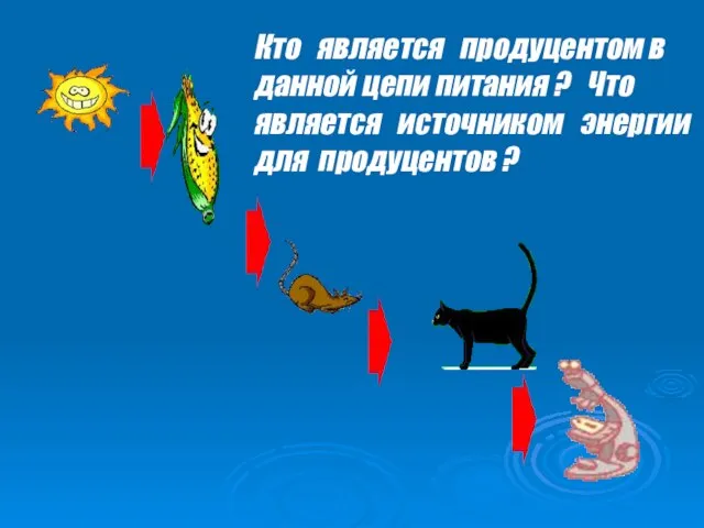 Кто является продуцентом в данной цепи питания ? Что является источником энергии для продуцентов ?