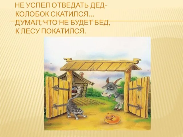 НЕ УСПЕЛ ОТВЕДАТЬ ДЕД- КОЛОБОК СКАТИЛСЯ… ДУМАЛ, ЧТО НЕ БУДЕТ БЕД, К ЛЕСУ ПОКАТИЛСЯ.