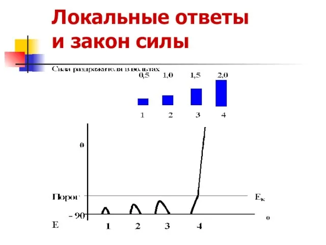 Локальные ответы и закон силы