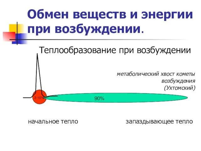 Обмен веществ и энергии при возбуждении. Теплообразование при возбуждении метаболический хвост кометы