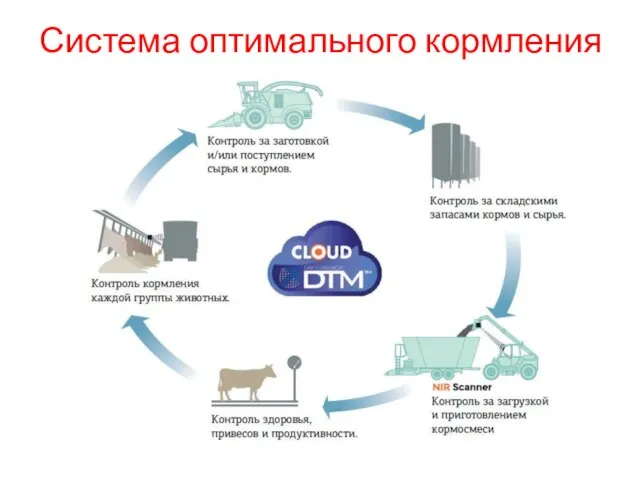 Система оптимального кормления