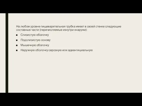 На любом уровне пищеварительная трубка имеет в своей стенке следующие составные части