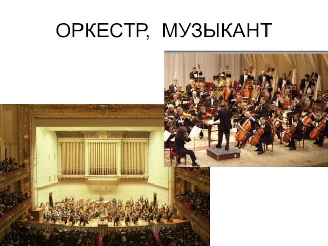 ОРКЕСТР, МУЗЫКАНТ