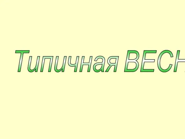 Типичная ВЕСНА